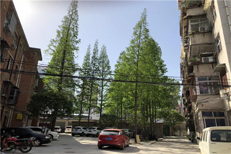 开发区兴业·舜德帝景3室房源欢迎咨询